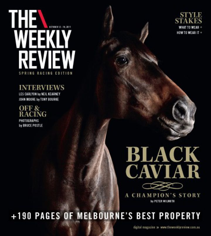 The Weekly Review - Black Caviar