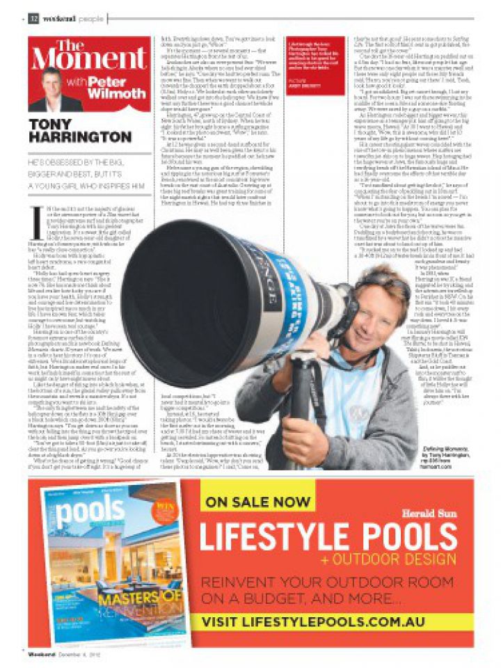 The Moment - Tony Harrington